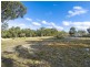 19 Morgan Road, Belrose NSW 2085