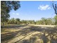 19 Morgan Road, Belrose NSW 2085