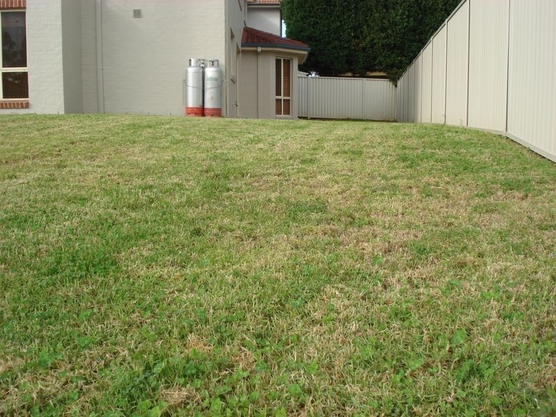 13 Rothwell Cct, Glenwood NSW 2768