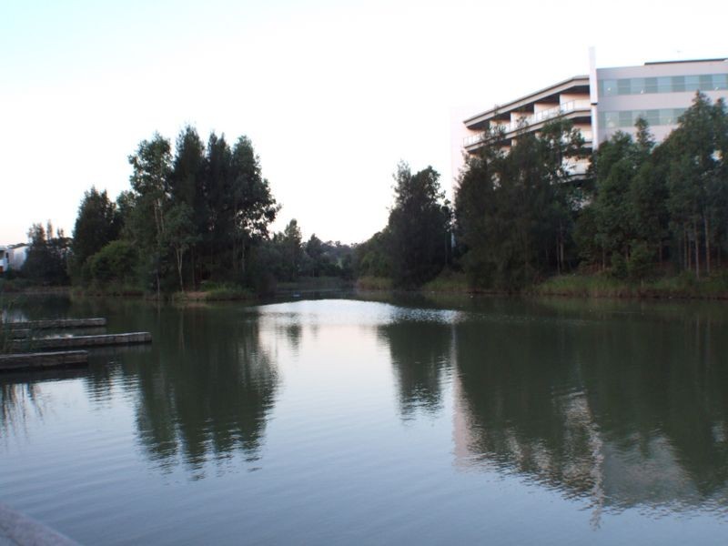 8 The Pointe, Bella Vista NSW 2153