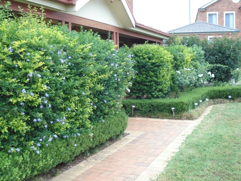 9 Peter Wilson  Street, Glenwood NSW 2768