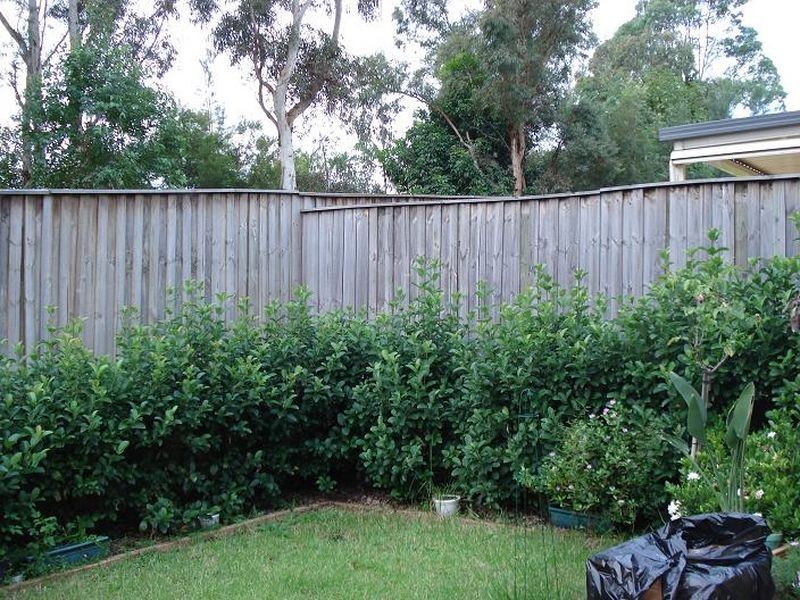 29/92-100 Barina Downs Rd, Baulkham Hills NSW 2153