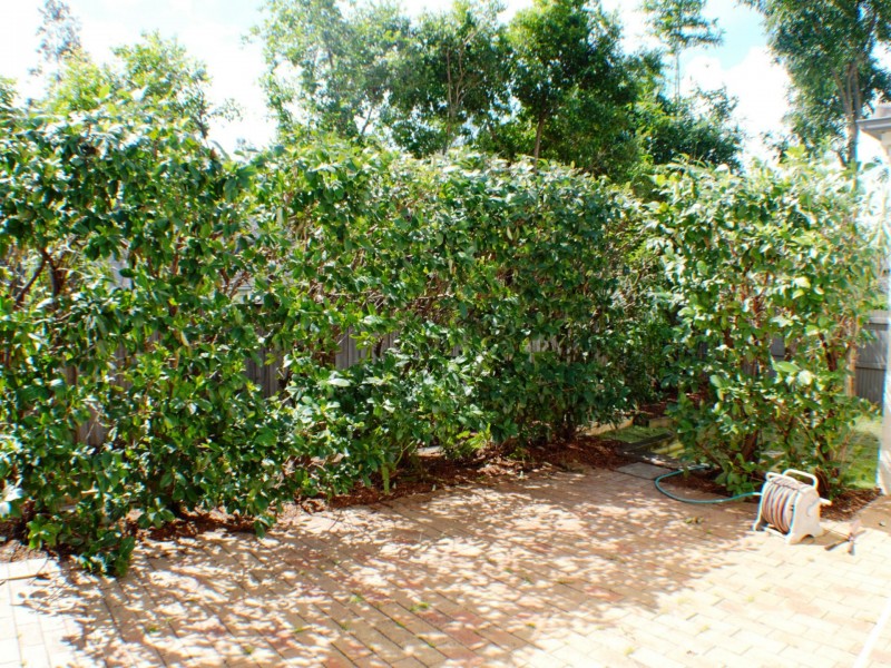 42 Tilbury Ave, Stanhope Gardens NSW 2768