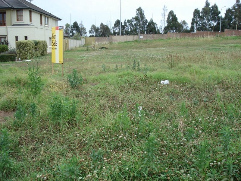 34 Rothwell Cct, Glenwood NSW 2768