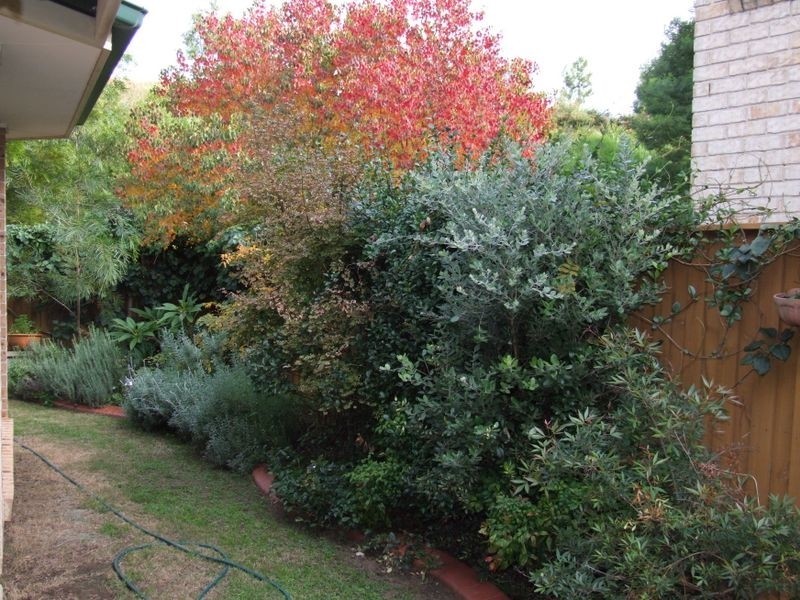 14 Knightsbridge Ave, Glenwood NSW 2768