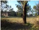 87 Windsor Road, Baulkham Hills NSW 2153