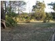 87 Windsor Road, Baulkham Hills NSW 2153