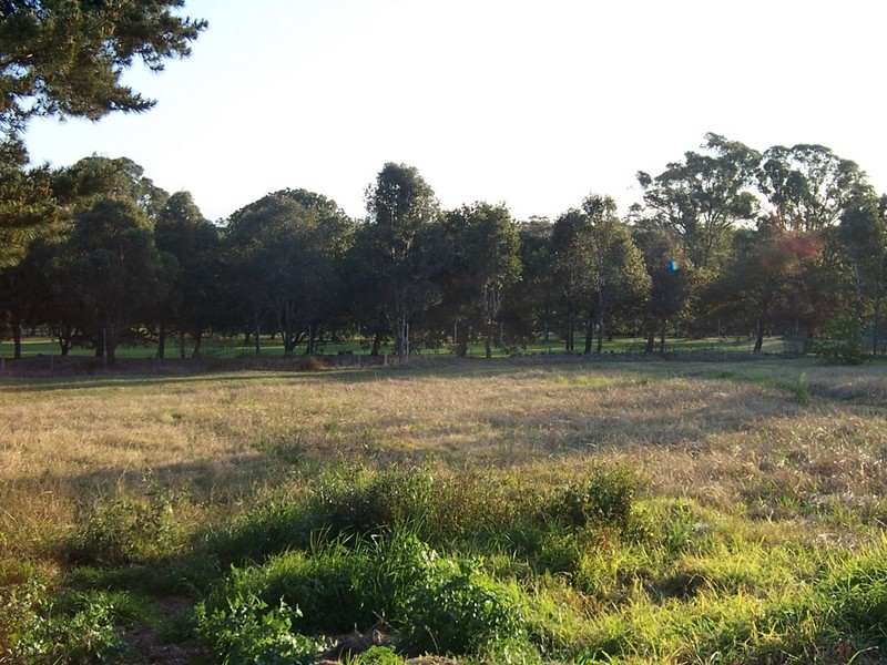 87 Windsor Road, Baulkham Hills NSW 2153