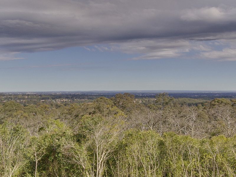 16 Melia Court, Castle Hill NSW 2154