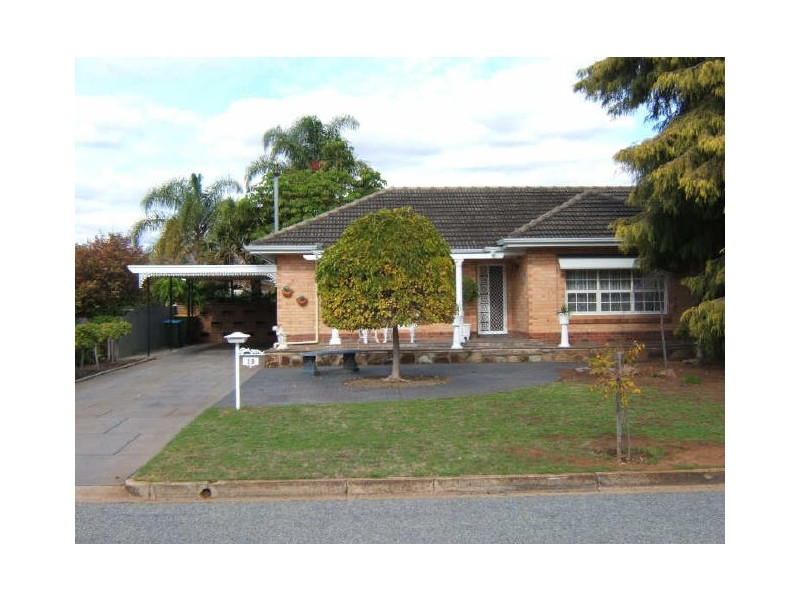 13 Walker Avenue, Paradise SA 5075