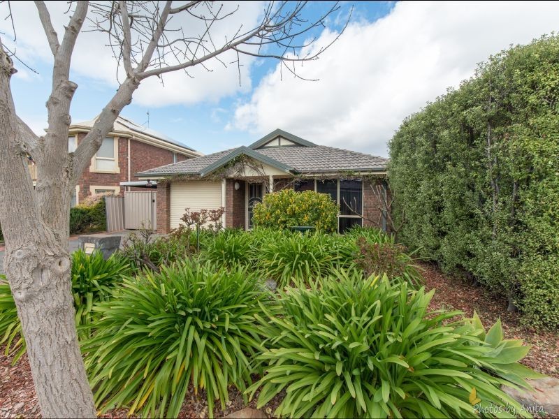 17 Hanbury Court, Oakden SA 5086