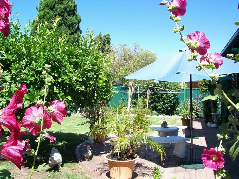 11 Shortridge Street, Modbury Heights SA 5092