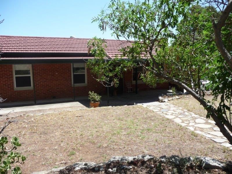 16 Turnbull Road, Enfield SA 5085