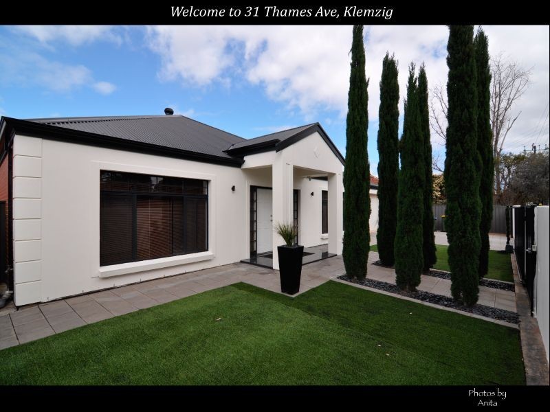 31 Thames Avenue, Klemzig SA 5087