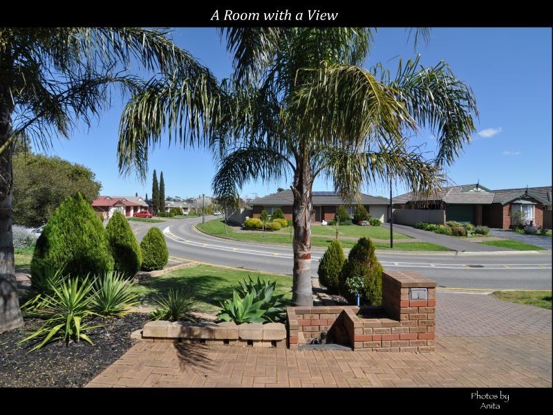 42 Lynton Avenue, Gilles Plains SA 5086