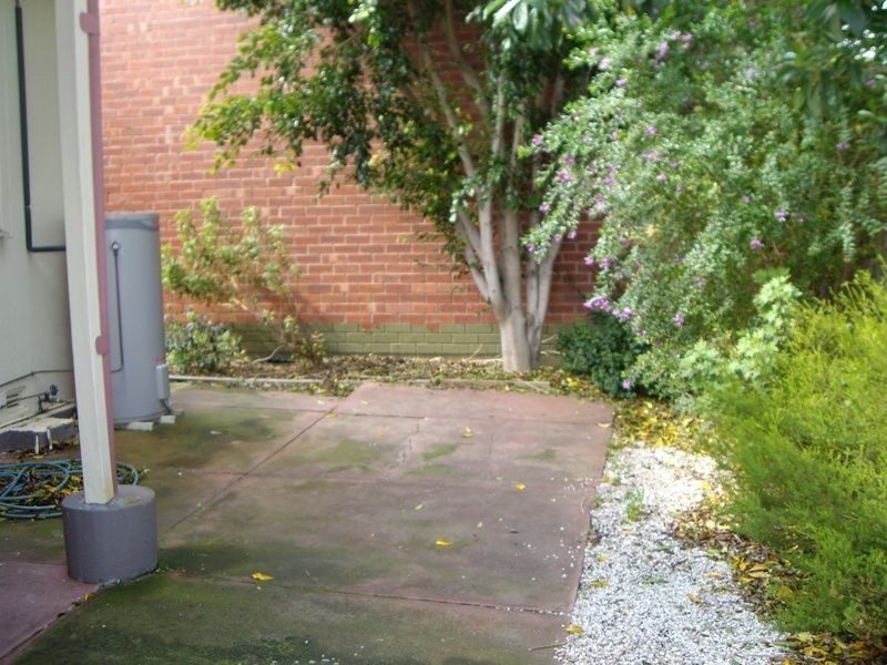 31 Murray Avenue, Clearview SA 5085