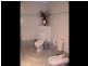 10 Bushman Drive, Walkley Heights SA 5098