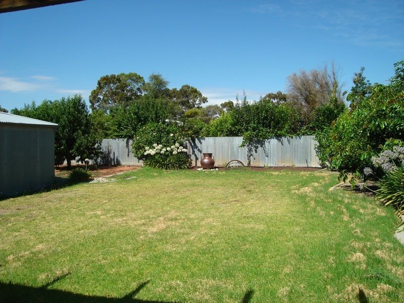 16 Greenwillow Avenue, Paradise SA 5075