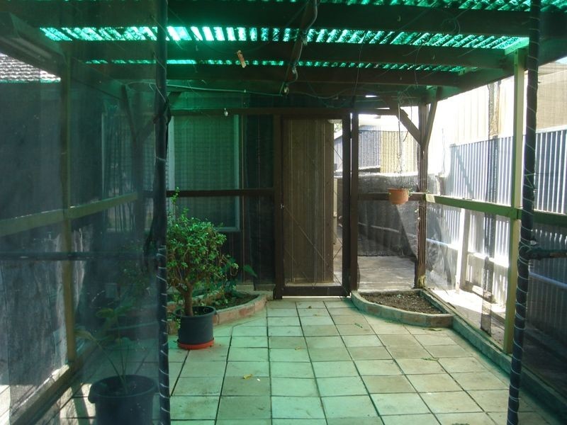 3 Shropshire Avenue, Hillcrest SA 5086