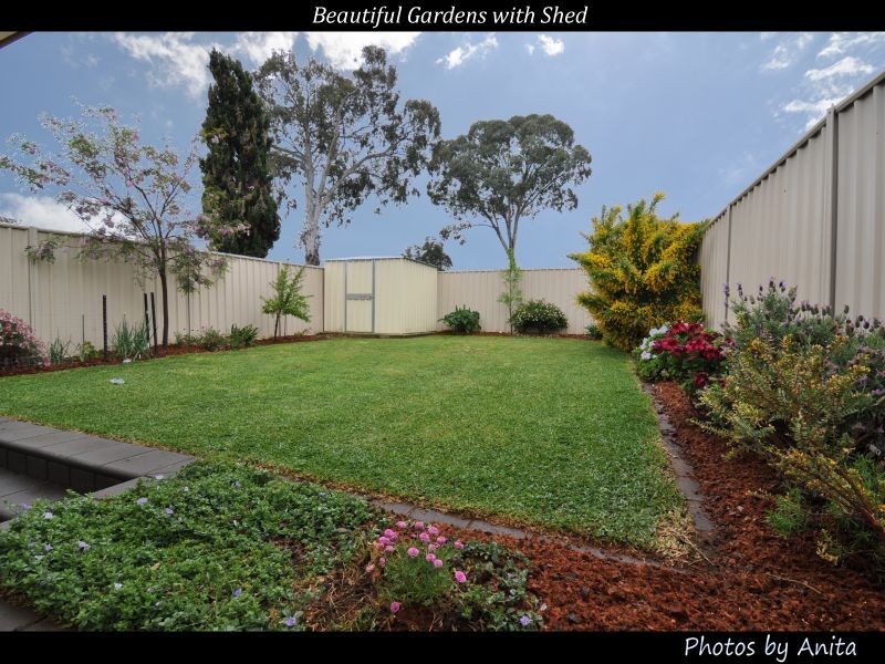 20A Lurline Avenue, Gilles Plains SA 5086