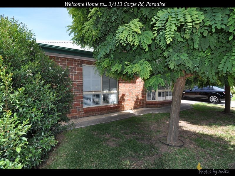 3/113 Gorge Road, Paradise SA 5075