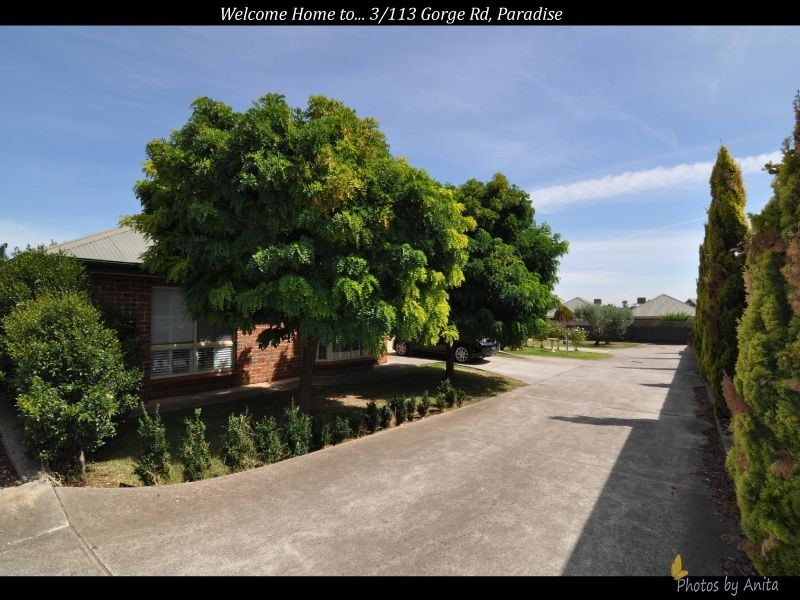 3/113 Gorge Road, Paradise SA 5075