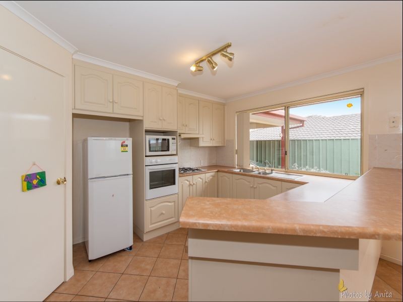 50 Saddle Crescent, Walkley Heights SA 5098