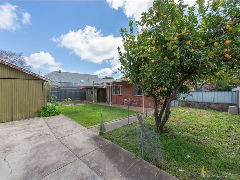 12 Main Avenue, Frewville SA 5063