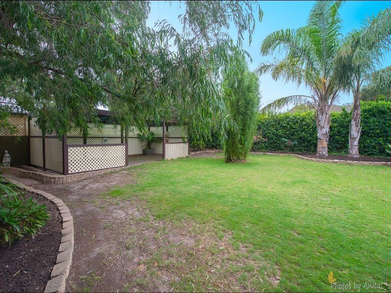 4 Tamar Crescent, Banksia Park SA 5091