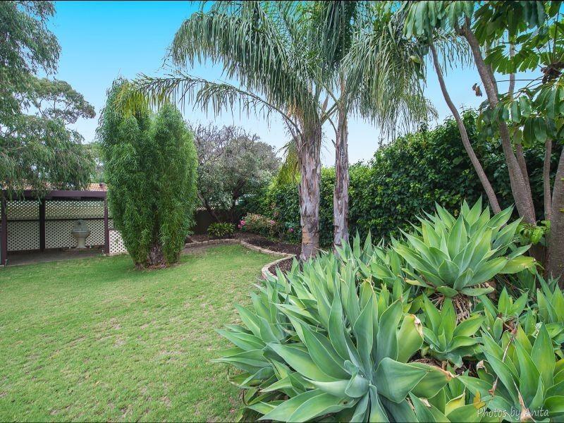 4 Tamar Crescent, Banksia Park SA 5091