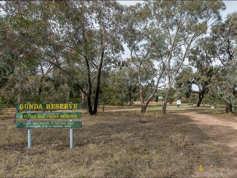 18 Nunyah Drive, Banksia Park SA 5091