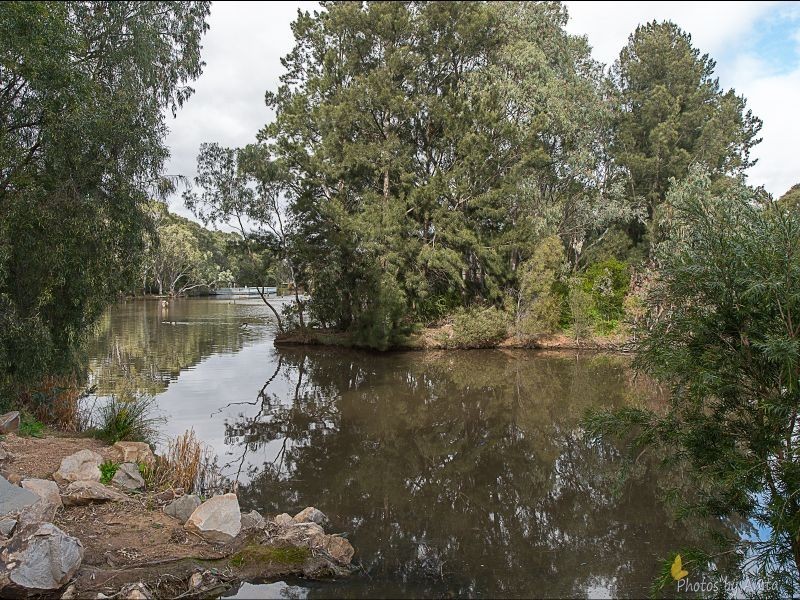 11 Ashton Place, Wynn Vale SA 5127