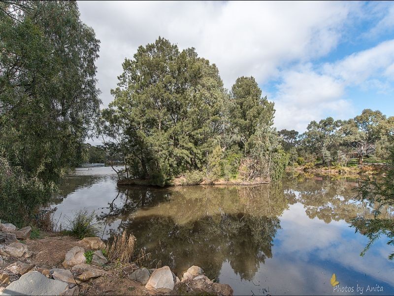 11 Ashton Place, Wynn Vale SA 5127