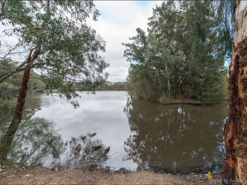 11 Ashton Place, Wynn Vale SA 5127