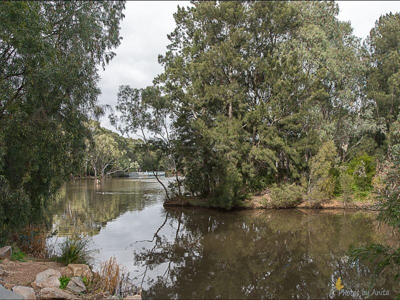 11 Ashton Place, Wynn Vale SA 5127