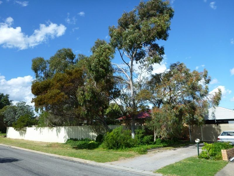 11 Grenache Avenue, Modbury SA 5092