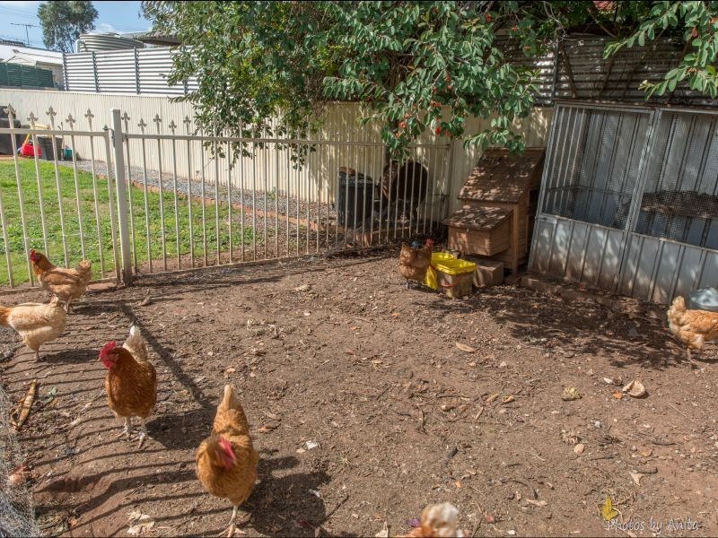 37 Tarana Avenue, Ingle Farm SA 5098