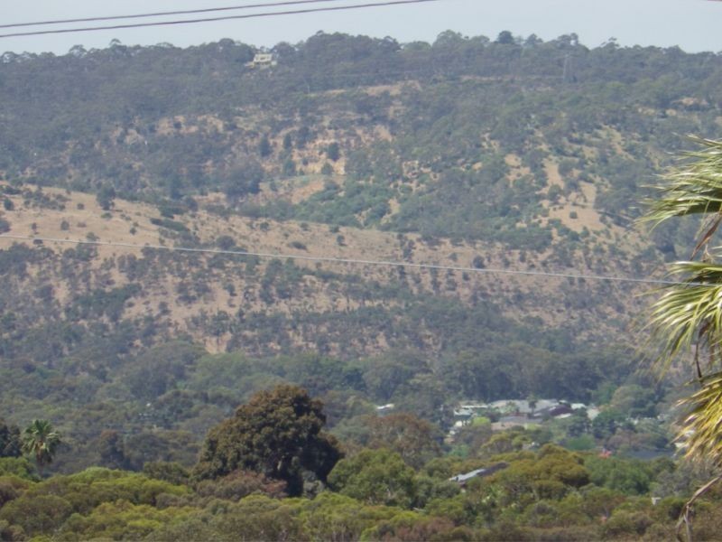 Lot 1 41 Clifford Way, Valley View SA 5093