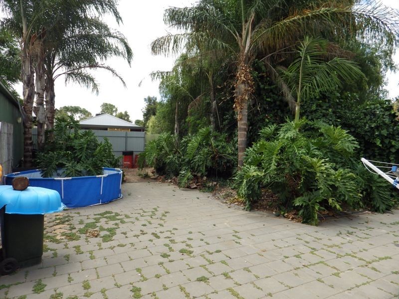 60 Treweck Avenue, Hillcrest SA 5086