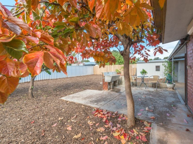 14 Green Street, St Morris SA 5068