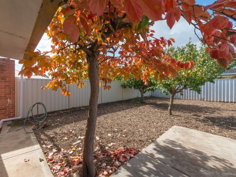 14 Green Street, St Morris SA 5068