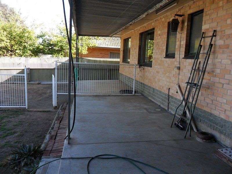 7 Windsor Avenue, Para Hills SA 5096