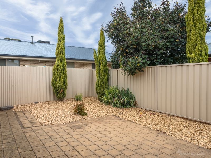 19 Colac Street, Greenacres SA 5086