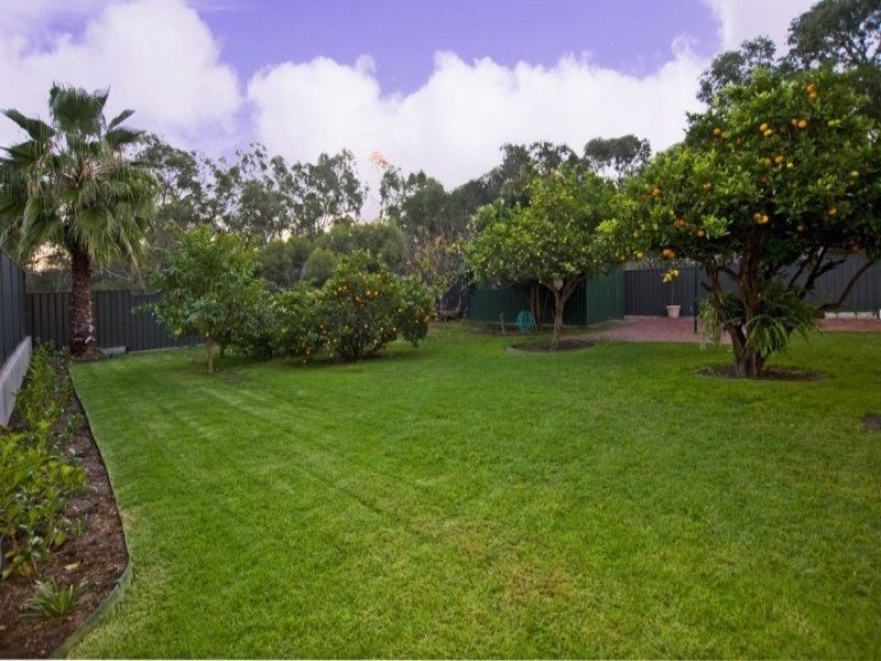 31 River Street, St Peters SA 5069