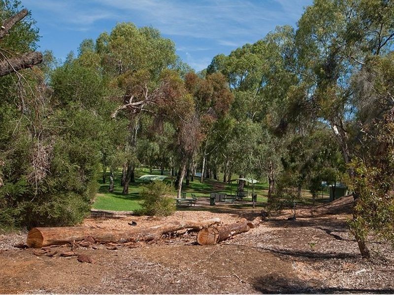31 River Street, St Peters SA 5069