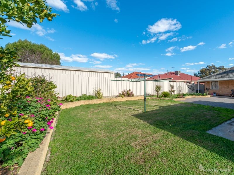 8 Montrose Avenue, Clearview SA 5085