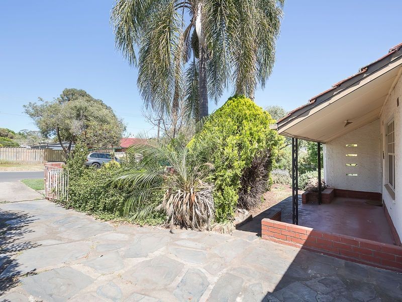 48 Barrington Avenue, Enfield SA 5085