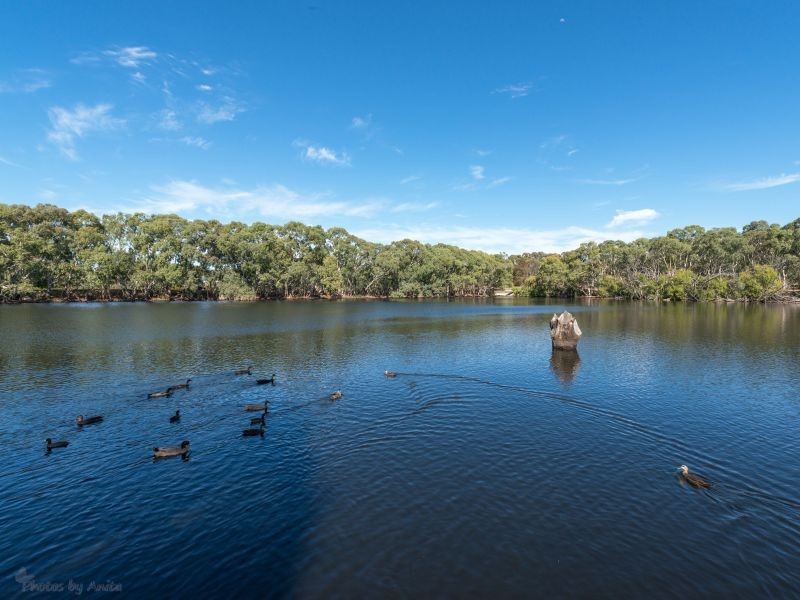 12 Trebbiano Street, Wynn Vale SA 5127