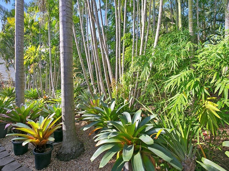 316 Chatsworth Road, Coorparoo QLD 4151