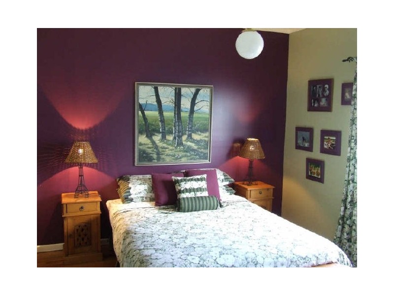 41 Cowper Street, Bulimba QLD 4171